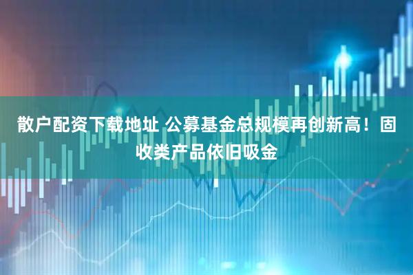 散户配资下载地址 公募基金总规模再创新高！固收类产品依旧吸金