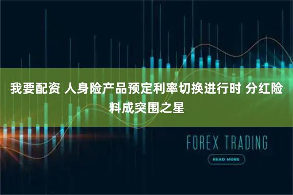 我要配资 人身险产品预定利率切换进行时 分红险料成突围之星