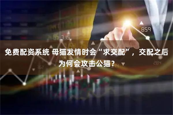 免费配资系统 母猫发情时会“求交配”，交配之后为何会攻击公猫？