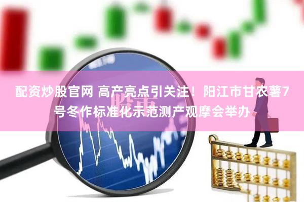配资炒股官网 高产亮点引关注！阳江市甘农薯7号冬作标准化示范测产观摩会举办