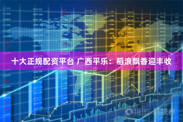 十大正规配资平台 广西平乐：稻浪飘香迎丰收